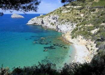 Foto 14 - Terreno edificabile Monte Argentario - foto 14