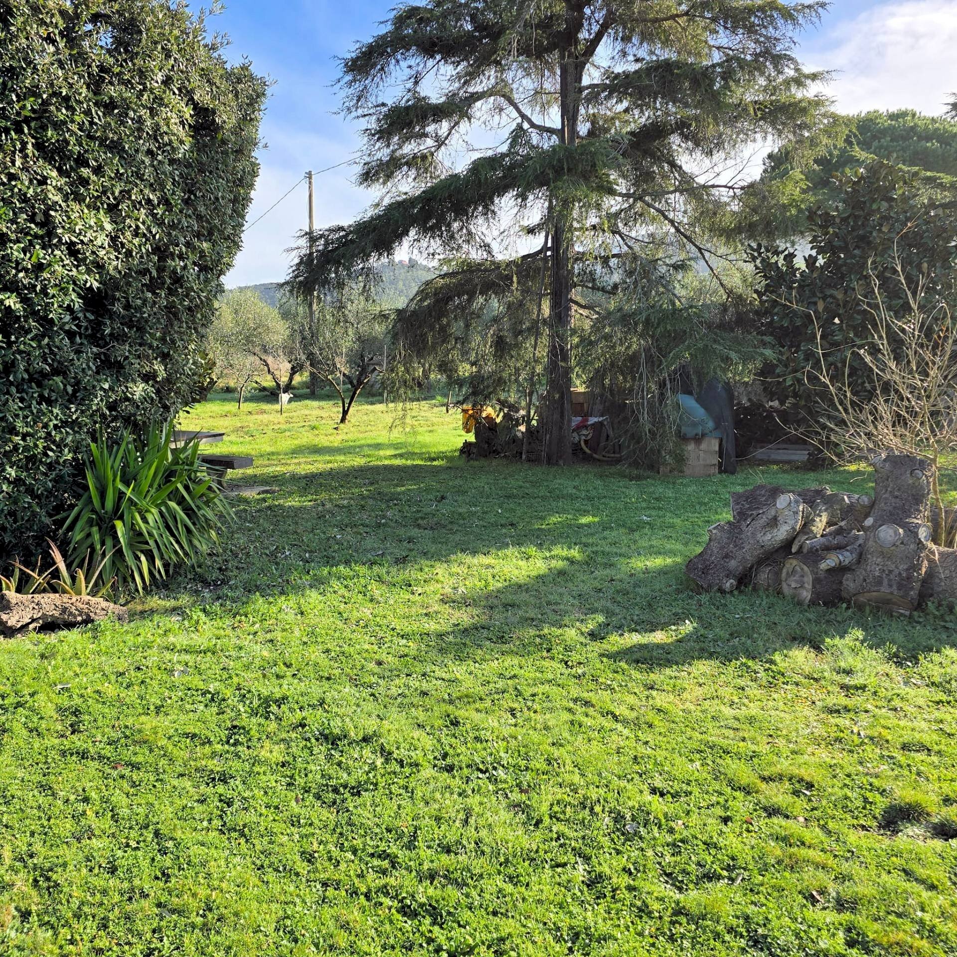 Foto 3 - Rustic Scarlino - photo 3