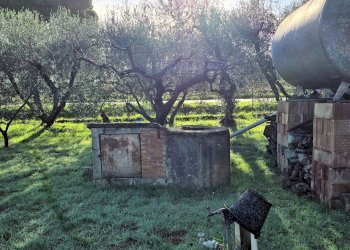 Foto 9 - Rustic Scarlino - photo 9