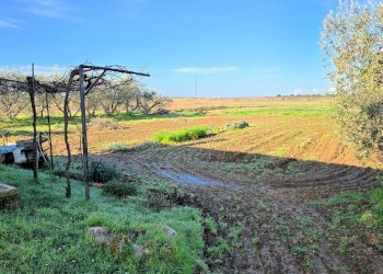 Foto 10 - Rustic Scarlino - photo 10