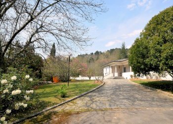 Foto 19 - Villa Valpromaro, Camaiore - foto 19