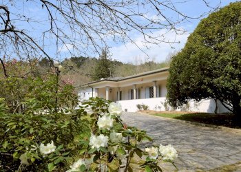 Foto 20 - Villa Valpromaro, Camaiore - foto 20