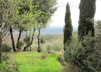 Foto 4 - Rustic Civitella Paganico - photo 4