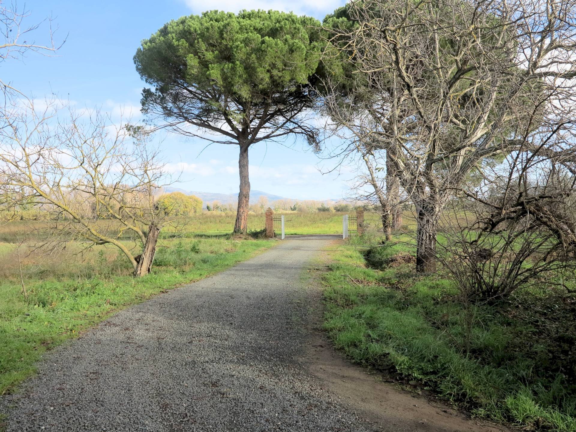 Foto 2 - Rustic Roccastrada - photo 2