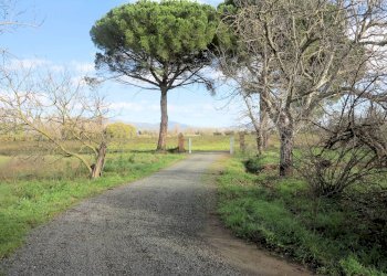 Foto 2 - Rustico Roccastrada - foto 2