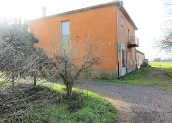 Foto 3 - Rustico Roccastrada - foto 3