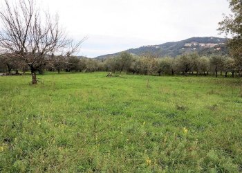 Foto 3 - Rustico Bagno di Gavorrano, Gavorrano - foto 3