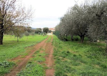 Foto 8 - Rustico Bagno di Gavorrano, Gavorrano - foto 8