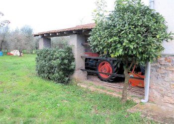 Foto 12 - Rustico Bagno di Gavorrano, Gavorrano - foto 12