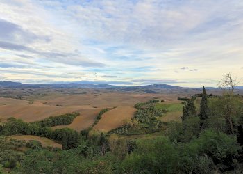 Foto 2 - Casa indipendente Lajatico - foto 2