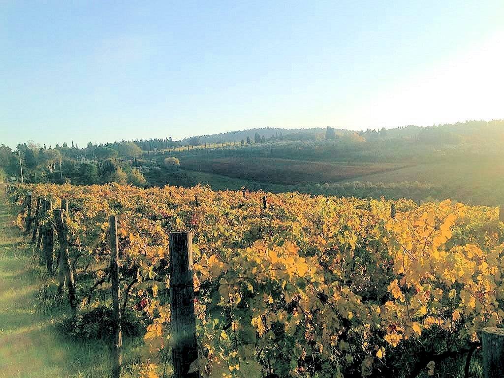 Foto 1 - Rustico Grosseto - foto 1