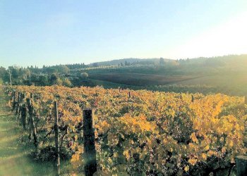 Foto 1 - Rustico Grosseto - foto 1