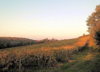 Foto 4 - Rustico Grosseto - foto 4