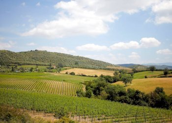 Foto 6 - Rustico Grosseto - foto 6