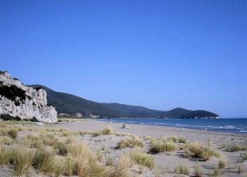 Foto 11 - Rustico Grosseto - foto 11