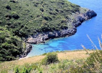 Foto 12 - Rustico Grosseto - foto 12