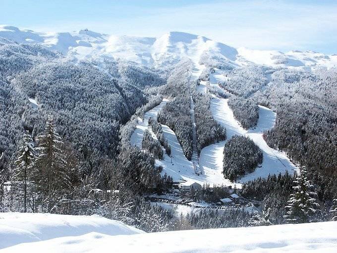 Foto 1 - Commercial Activity Abetone Cutigliano - photo 1