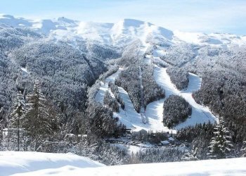 Foto 1 - Commercial Activity Abetone Cutigliano - photo 1