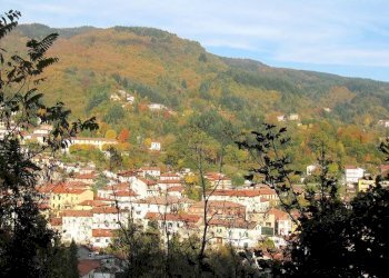 Foto 5 - Commercial Activity Abetone Cutigliano - photo 5