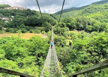 Foto 6 - Commercial Activity Abetone Cutigliano - photo 6