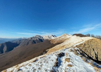 Foto 9 - Commercial Activity Abetone Cutigliano - photo 9