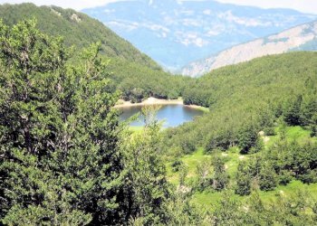 Foto 10 - Commercial Activity Abetone Cutigliano - photo 10