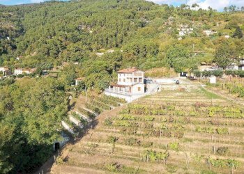 Foto 4 - Villa Pietrasanta - foto 4