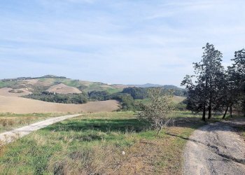 Foto 3 - Rustico Volterra - foto 3