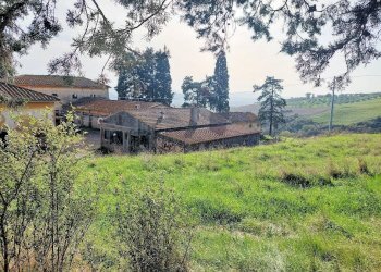 Foto 8 - Rustico Volterra - foto 8