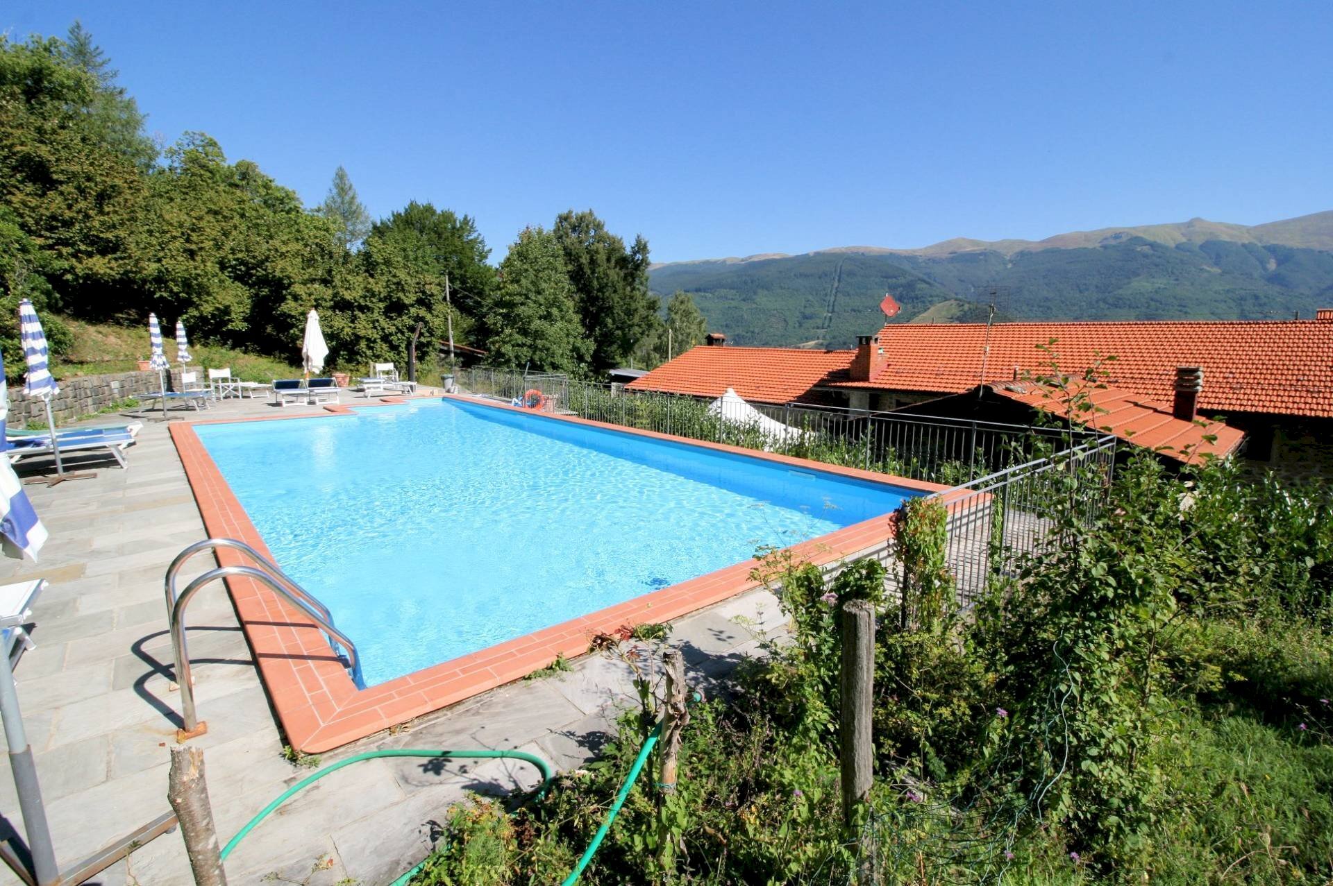 Foto 1 - Rustico il volpino, San Marcello Piteglio - foto 1