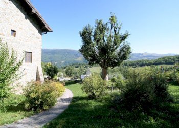 Foto 11 - Rustico il volpino, San Marcello Piteglio - foto 11