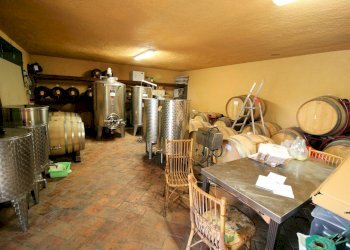 Foto 20 - Rustico Poggio a Caiano - foto 20