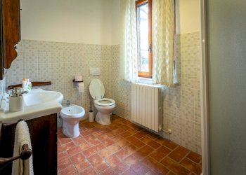 Foto 20 - Rustico Volterra - foto 20