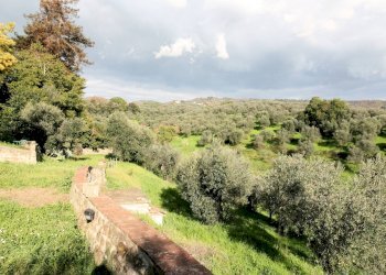 Foto 4 - Rustic Lamporecchio - photo 4