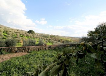 Foto 10 - Rustic Lamporecchio - photo 10