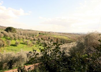 Foto 12 - Rustic Lamporecchio - photo 12