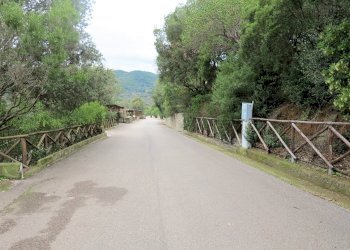 Foto 20 - Villa a Schiera Castiglione della Pescaia - foto 20