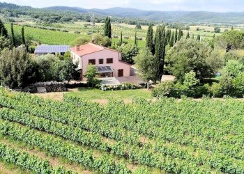 Foto 1 - Rustico Roccastrada - foto 1