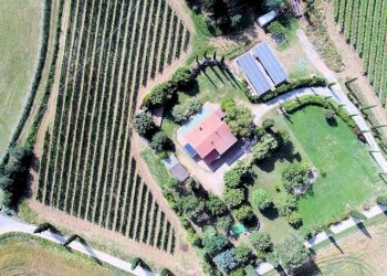 Foto 4 - Rustico Roccastrada - foto 4