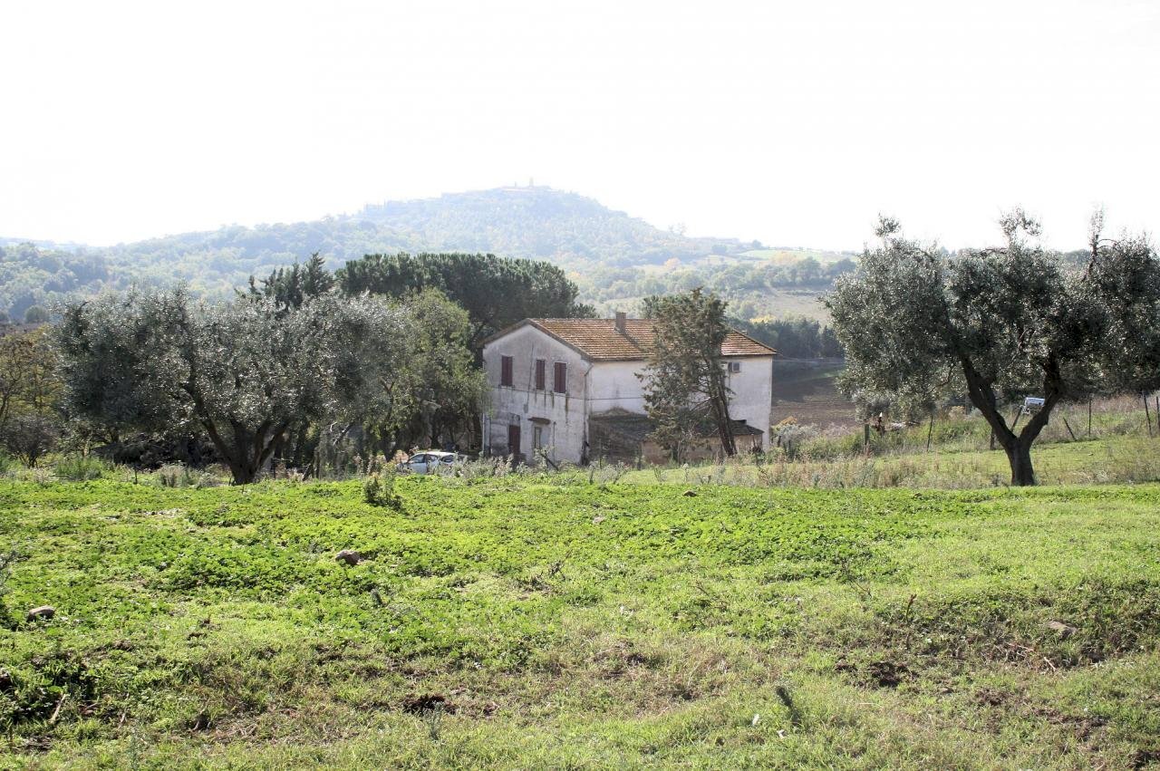 Foto 1 - Rustico apparita, Magliano in Toscana - foto 1