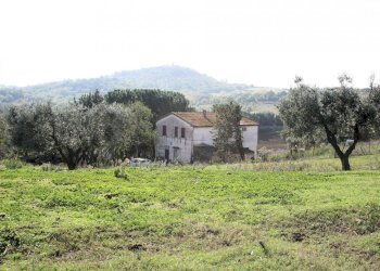 Foto 1 - Rustico apparita, Magliano in Toscana - foto 1