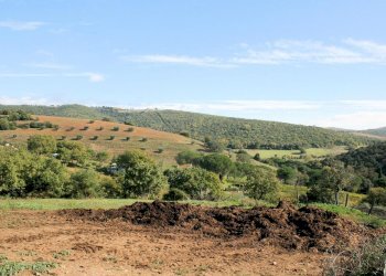 Foto 4 - Rustico apparita, Magliano in Toscana - foto 4