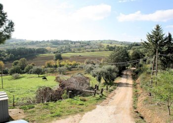 Foto 6 - Rustico apparita, Magliano in Toscana - foto 6