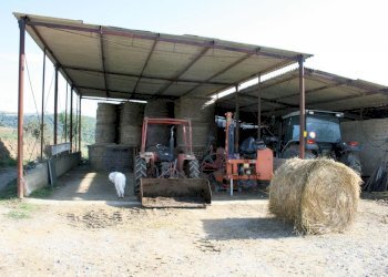 Foto 7 - Rustico apparita, Magliano in Toscana - foto 7