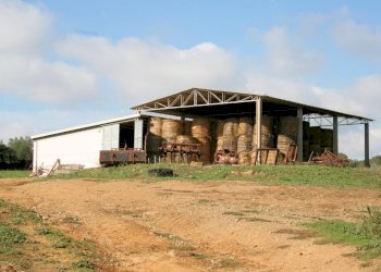 Foto 8 - Rustico apparita, Magliano in Toscana - foto 8