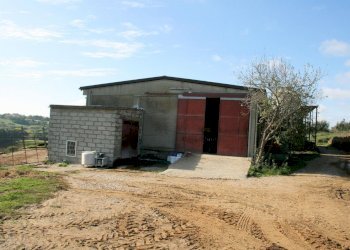 Foto 9 - Rustico apparita, Magliano in Toscana - foto 9