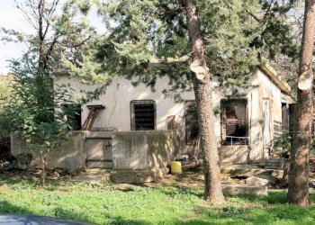 Foto 13 - Rustico apparita, Magliano in Toscana - foto 13