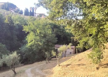 Foto 2 - Rustic Lamporecchio - photo 2