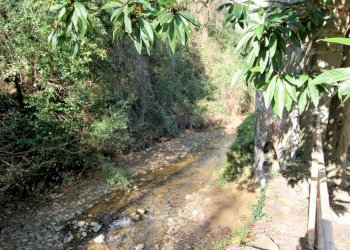 Foto 4 - Rustic Lamporecchio - photo 4