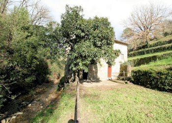 Foto 5 - Rustic Lamporecchio - photo 5